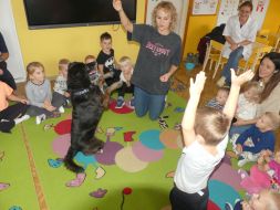 POZNAJMY SIĘ - ZABAWY Z PSEM