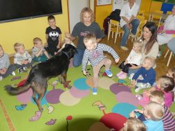 POZNAJMY SIĘ - ZABAWY Z PSEM