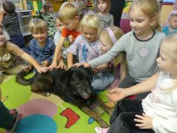 POZNAJMY SIĘ - ZABAWY Z PSEM