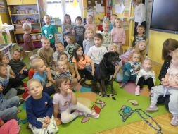 POZNAJMY SIĘ - ZABAWY Z PSEM