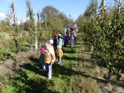 JESIENIĄ JESIENIĄ SADY SIĘ RUMIENIĄ