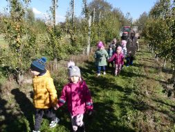 JESIENIĄ JESIENIĄ SADY SIĘ RUMIENIĄ