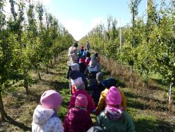 JESIENIĄ JESIENIĄ SADY SIĘ RUMIENIĄ