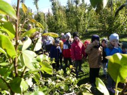 JESIENIĄ JESIENIĄ SADY SIĘ RUMIENIĄ