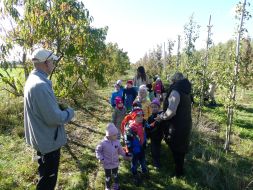 JESIENIĄ JESIENIĄ SADY SIĘ RUMIENIĄ