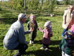 JESIENIĄ JESIENIĄ SADY SIĘ RUMIENIĄ