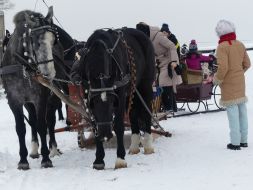  Skrzypiący śnieg, bajkowe krajobrazy…   
