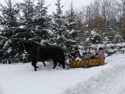  Skrzypiący śnieg, bajkowe krajobrazy…   