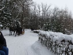  Skrzypiący śnieg, bajkowe krajobrazy…   