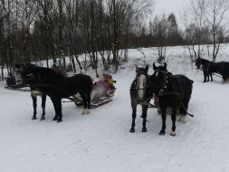 Skrzypiący śnieg, bajkowe krajobrazy…   