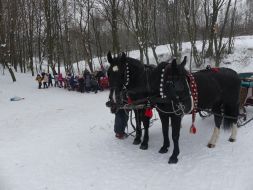 Skrzypiący śnieg, bajkowe krajobrazy…   