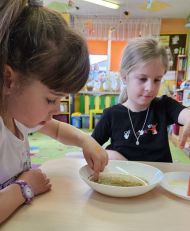  GR II - UDZIAŁ W OGÓLNOPOLSKIM PROJEKCIE 