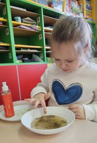  GR II - UDZIAŁ W OGÓLNOPOLSKIM PROJEKCIE 