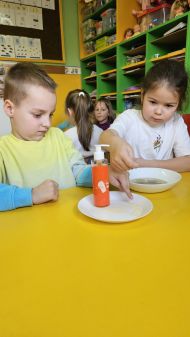  GR II - UDZIAŁ W OGÓLNOPOLSKIM PROJEKCIE 