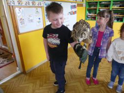  POCZUJ MAGIĘ PTAKÓW DRAPIEŻNYCH 