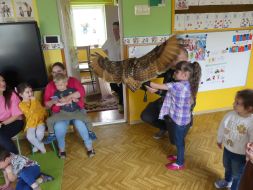  POCZUJ MAGIĘ PTAKÓW DRAPIEŻNYCH 