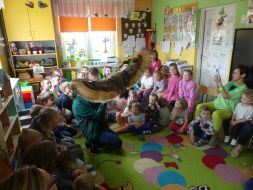  POCZUJ MAGIĘ PTAKÓW DRAPIEŻNYCH 
