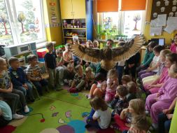  POCZUJ MAGIĘ PTAKÓW DRAPIEŻNYCH 
