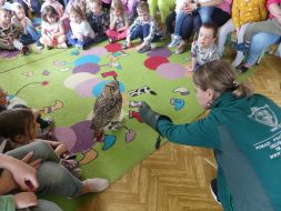  POCZUJ MAGIĘ PTAKÓW DRAPIEŻNYCH 