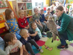  POCZUJ MAGIĘ PTAKÓW DRAPIEŻNYCH 