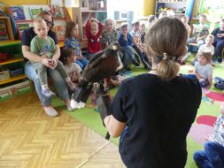  POCZUJ MAGIĘ PTAKÓW DRAPIEŻNYCH 
