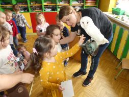  POCZUJ MAGIĘ PTAKÓW DRAPIEŻNYCH 