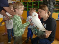  POCZUJ MAGIĘ PTAKÓW DRAPIEŻNYCH 