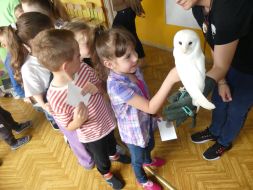  POCZUJ MAGIĘ PTAKÓW DRAPIEŻNYCH 